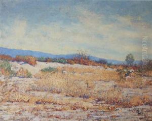 Desert Scene