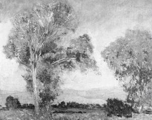 Southern California Cottowoods by Alson Skinner Clark