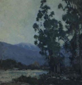 Trees Before The Arrayo