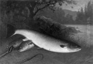 The Day's Catch, A Still Life With Trout And Rod by C. Myron Clark