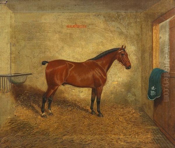 Sir George, Standing Chesnut In Stables - view 1