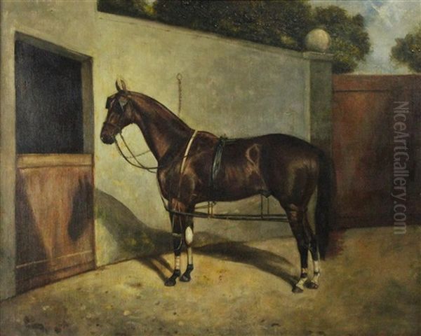 Brown Horse In Tack - view 1
