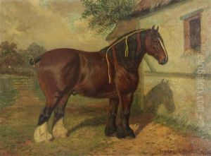 Portrait Of 2 Year Old Stallion Bearwardcote Blaze, Winner Of Champion Prize Shire Horse Show by Frederick Albert Clark