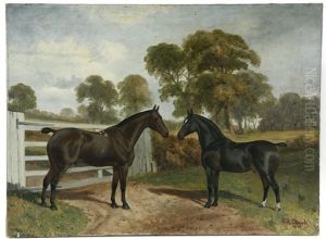 Two Thoroughbreds At Gate by Frederick Albert Clark