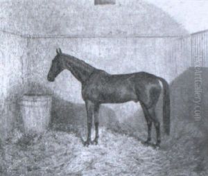 Fra W.- Winner Of Escher Handicap... by Frederick Albert Clark