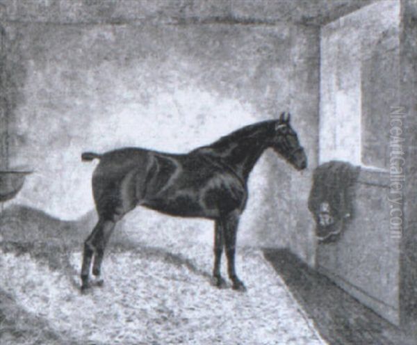Lady Nell - view 1