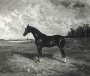 Cudham Marjorie, A Dark Bay Hackney Horse Standing In A Landscape by Frederick Albert Clark