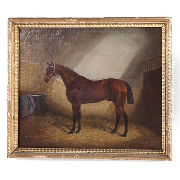 Horse In Stable - view 1