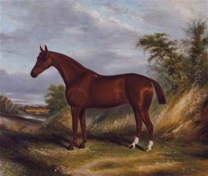 Horse In A Landscape
