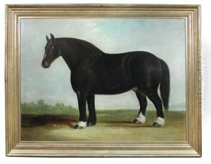 The Cottenham Shire