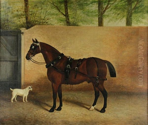 Horse And Terrier In Paddock - view 1