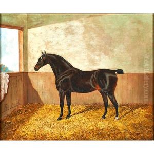 Sunbeam by James Clark