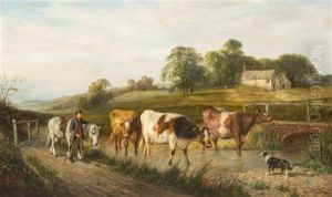 Leading Cattle
