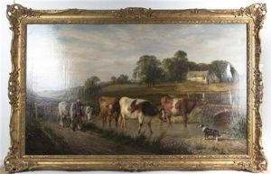 Untitled (leading Cattle)
