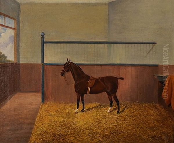 A Bay Hunter In A Stable - view 1