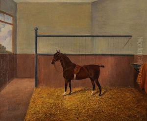 A Bay Hunter In A Stable