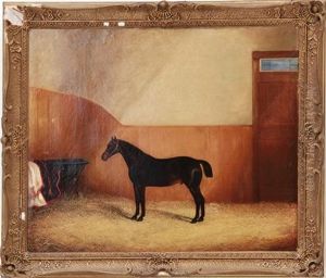Horse In Stall