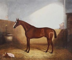 Chestnut Horse In A Stable
