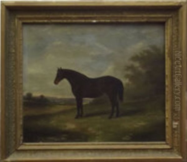 Horse In A Landscape - view 1