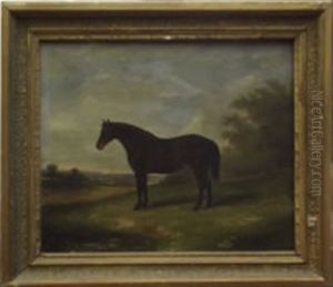 Horse In A Landscape