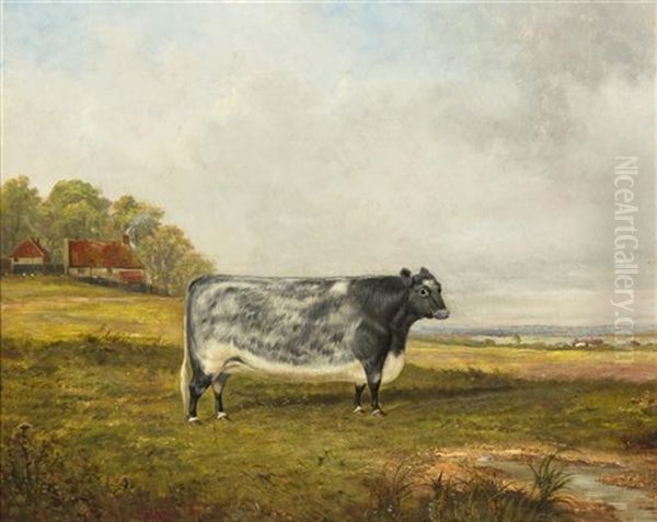 The Cow Out To Graze - view 1