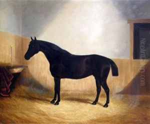 Bay Horse In A Stable (study)