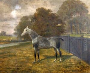 A Grey Hunter In A Landscape