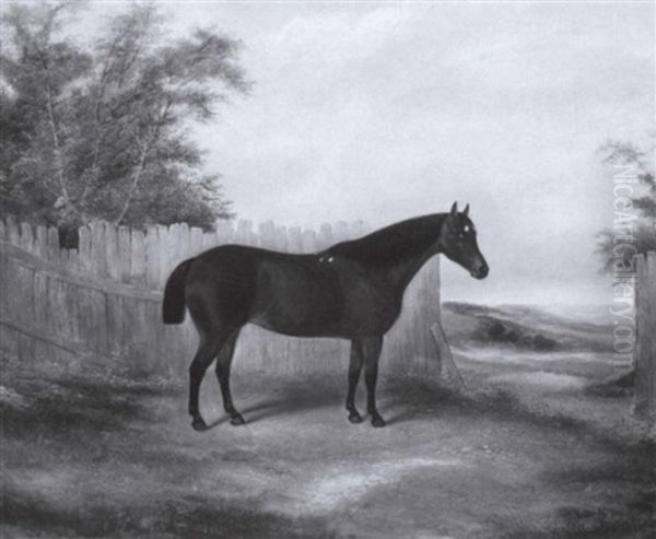 Hunter Before A Fence - view 1