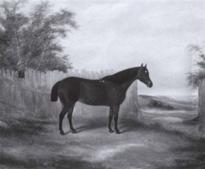 Hunter Before A Fence