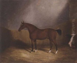 A Chestnut Hunter In A Stable