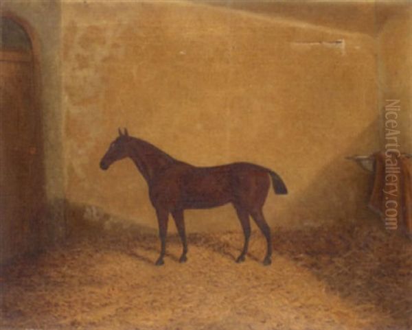 Bay Hunter In A Stable - view 1