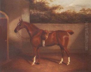 A Horse In The Yard