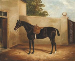 A Lady's Hunter Outside A Stable