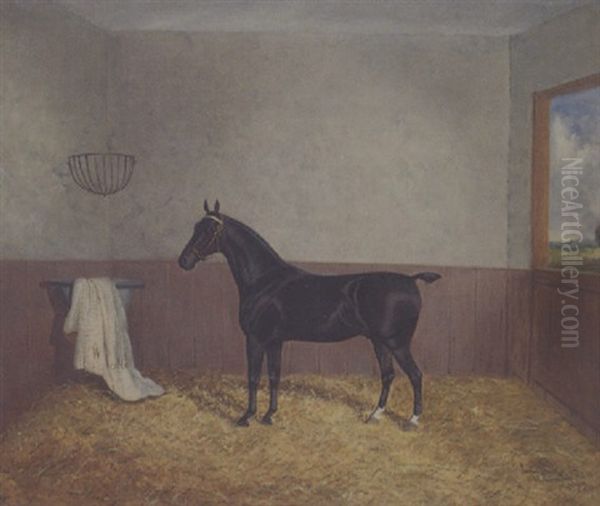 "new Fashion",  A Prize Carriage Horse - view 1