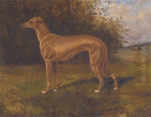 Greyhound In A Landscape - view 1