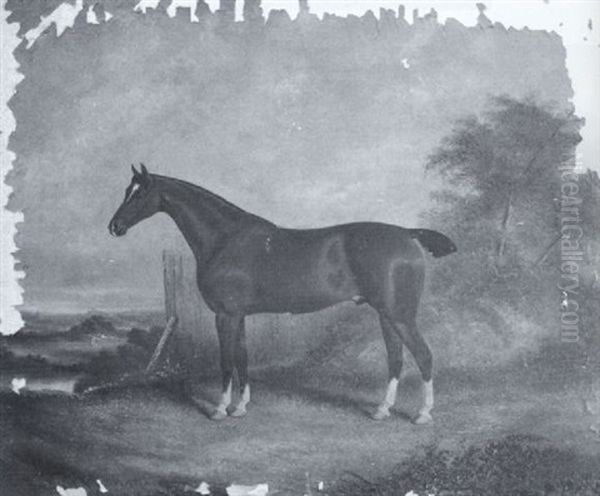 Portrait Of A Bay Hunter Standing In A Landscape - view 1