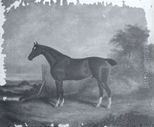 Portrait Of A Bay Hunter Standing In A Landscape by James Clark