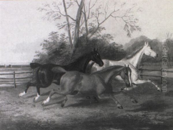 The Cantering Horses - view 1