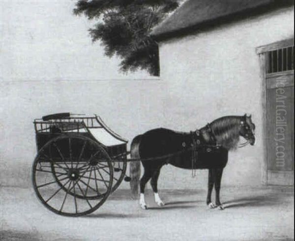 A Carriage Horse Outside A Stable - view 1