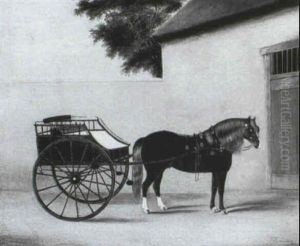 A Carriage Horse Outside A Stable