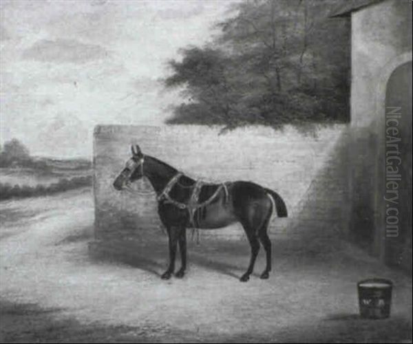 Polly, A Carriage Horse In A Stable Yard - view 1