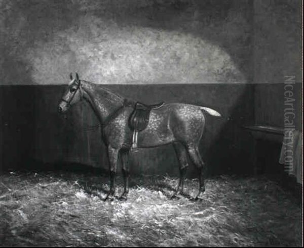 A Dapple Grey Hunter In A Loose Box - view 1