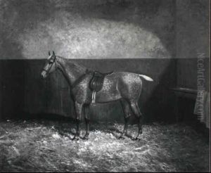A Dapple Grey Hunter In A Loose Box A Dapple Grey Hunter In A Loose Box