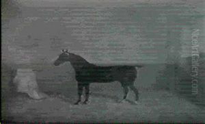 'new Fashion' A Dark Bay Racehorse In A Loose Box by James Clark
