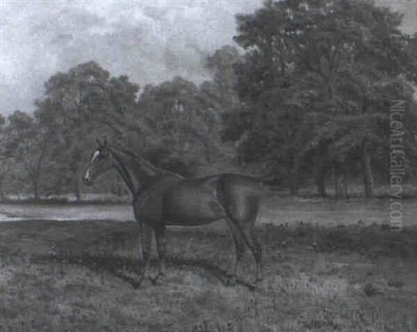 A Chestnut Hunter - view 1