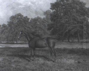 A Chestnut Hunter A Chestnut Hunter