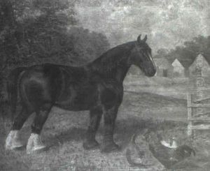 A Shire Horse And Poultry In A Farmyard by James Clark