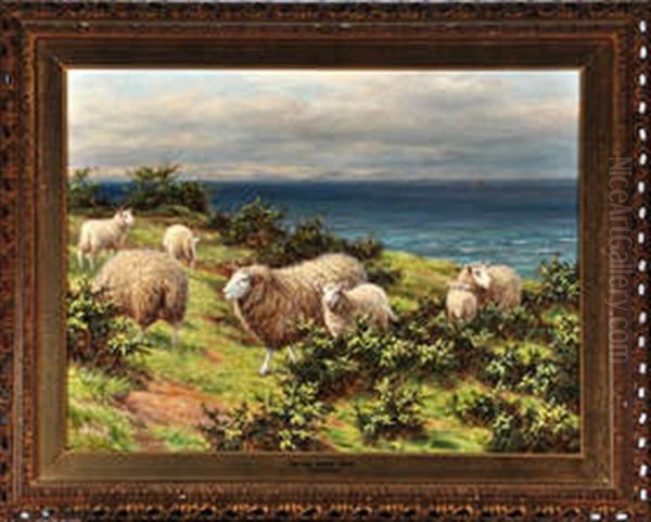 On The North Coast - view 1