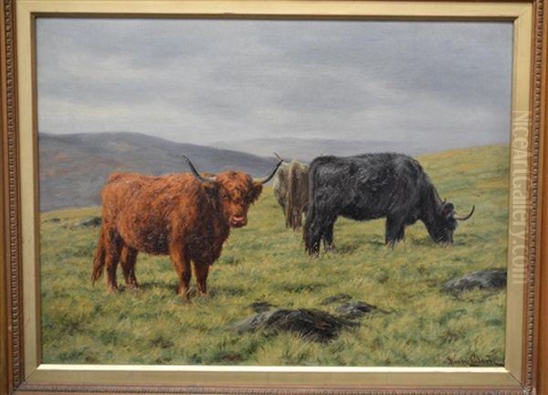 On The Hills Near Aberfeldy - view 1