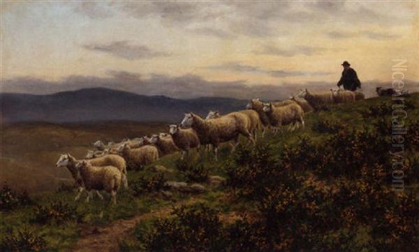 Herding The Flock - view 1